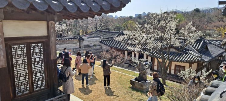 봄꽃 흐드러진 궁궐에서 유래와 역사 배워요
