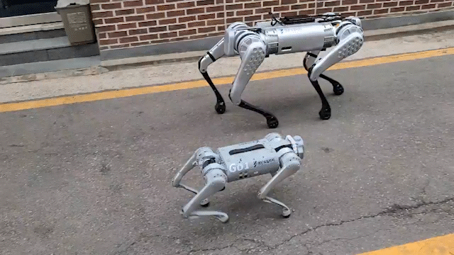 유니트리의 4족보행 로봇개 'Go1'과 'B1'이 도로를 걷고있다. /촬영=최동현 기자