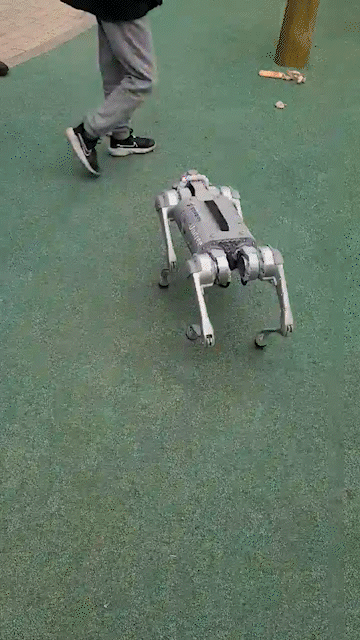 유니트리의 4족보행 로봇개 'Go1'이 뛰어가고 있다. /촬영=최동현 기자
