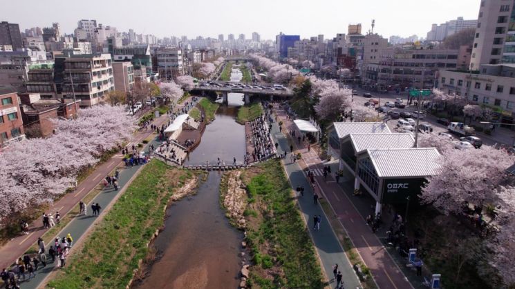 은평구, 2023 벚꽃 마라톤 대회 개최