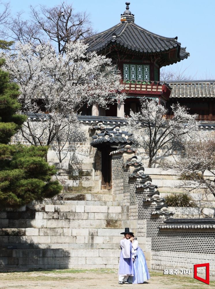 [포토] 봄꽃 만개한 궁궐