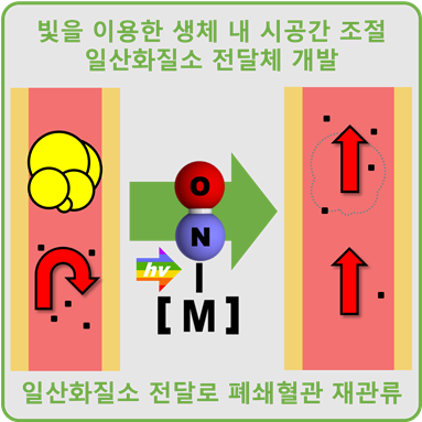 시공간적 일산화질소 전달을 통한 혈관폐쇄질환 치료 반응 도식.