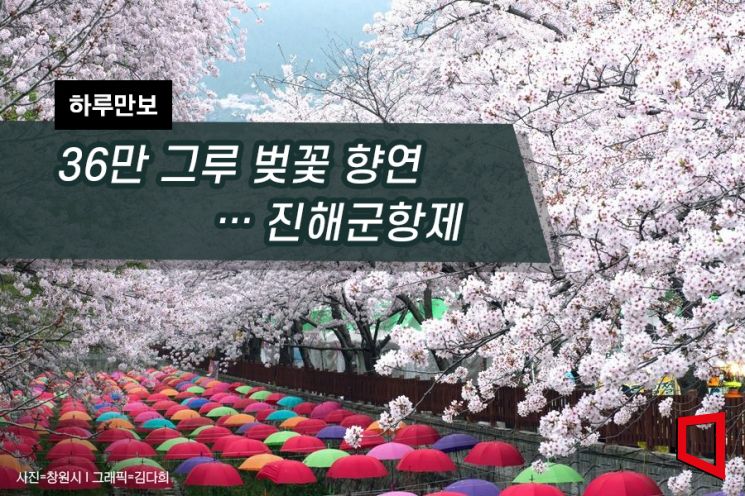 [하루만보]36만 그루 벚꽃 향연…진해군항제 