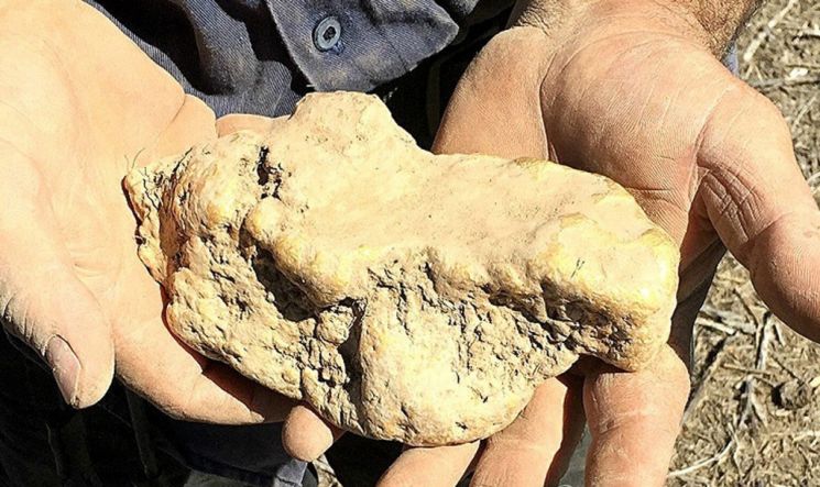 호주 빅토리아주 골든트라이앵글 지역에서 발견된 금덩어리. /EPA 연합뉴스