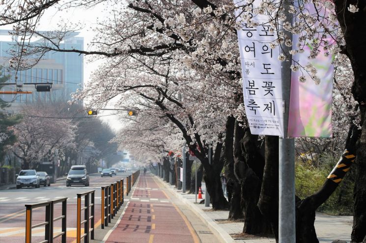 영등포구 여의서로 벚꽃길 4월1일 오전 10시부터 교통통제