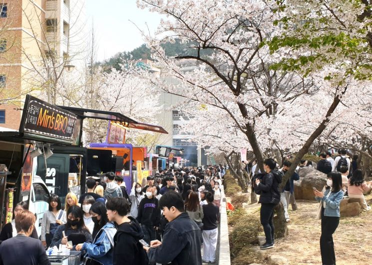 봄 벚꽃축제를 즐기는 대학생들.
