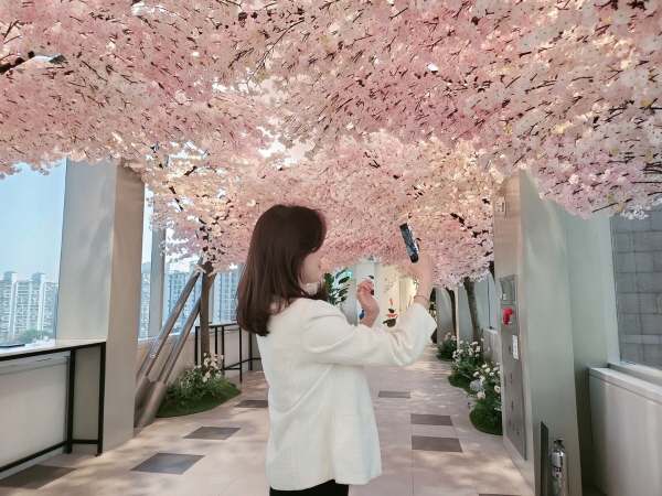 신세계백화점 경기점에서 고객이 벚꽃 길을 즐기고 있다. [사진제공=신세계]