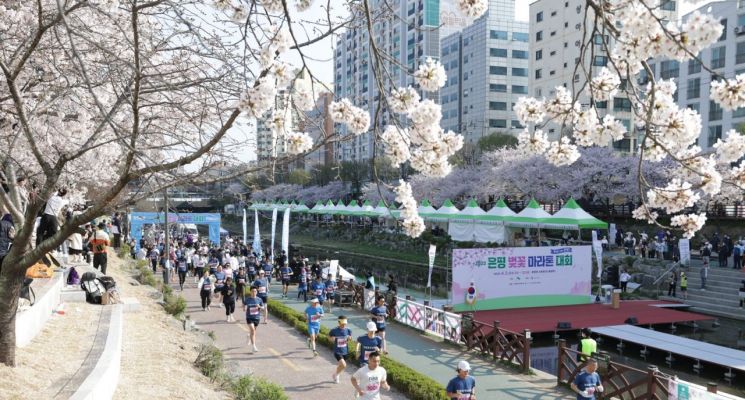 김미경 은평구청장 불광천 '벚꽃 마라톤 대회’ 완주 