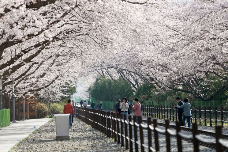 제61회 진해군항제가 성황리에 막을 내렸다. [이미지제공=창원시청]