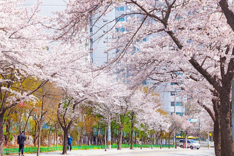 중랑망우공간 개관 1주년 맞이 ‘봄마실 축제’ 연다