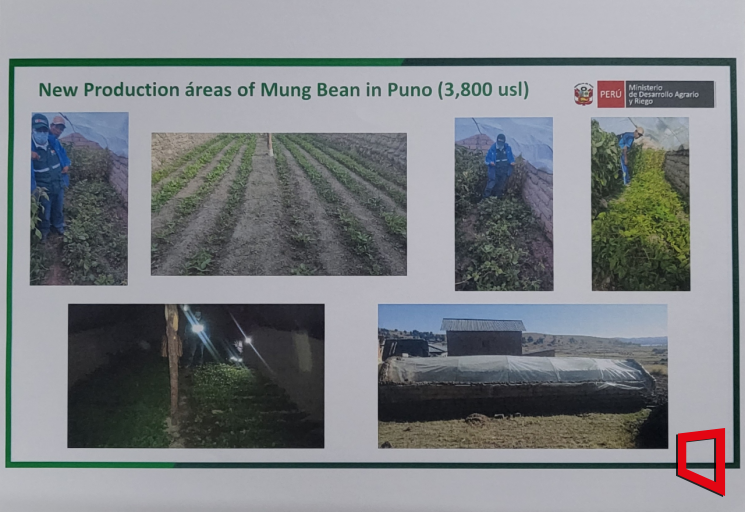 페루 정부가 한국 세관당국에 전달한 '페루 녹두생산 통계'. 47쪽에 달하는 보고서에는 페루의 녹두 재배지와 생산현황, 원산지 관리 전략 등이 담겨있다. 자료=페루 농업관개부(MIDAGRI)