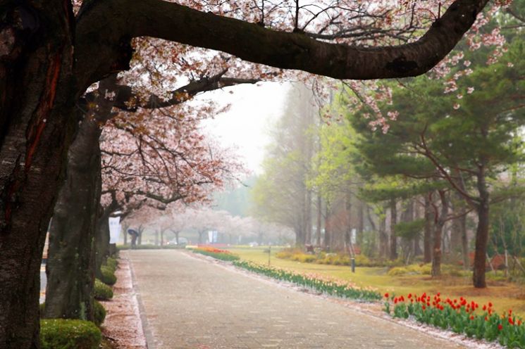 木浦大学 Dorim 校区  [图片提供=赵英浩]