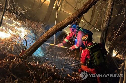 지난달 18일 발생한 강원 평창 산불 현장에서 특수진화대원들이 진화 작업을 펼치고 있다.[사진출처=연합뉴스]