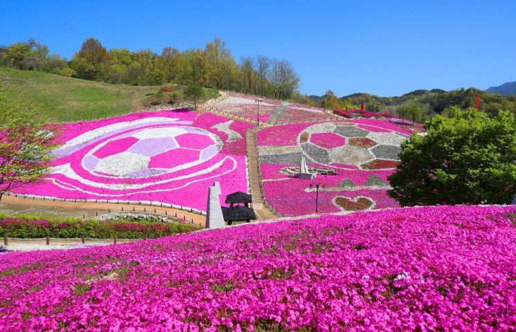 [하루만보 하루천자]걷고 보고 즐기고…전국은 축제 중