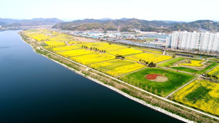 [하루만보 하루천자]걷고 보고 즐기고…전국은 축제 중