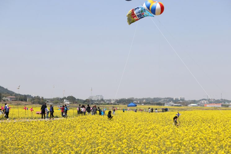 영암월출산 경관단지 유채꽃축제를 찾은 시민들 [사진=영암군청]