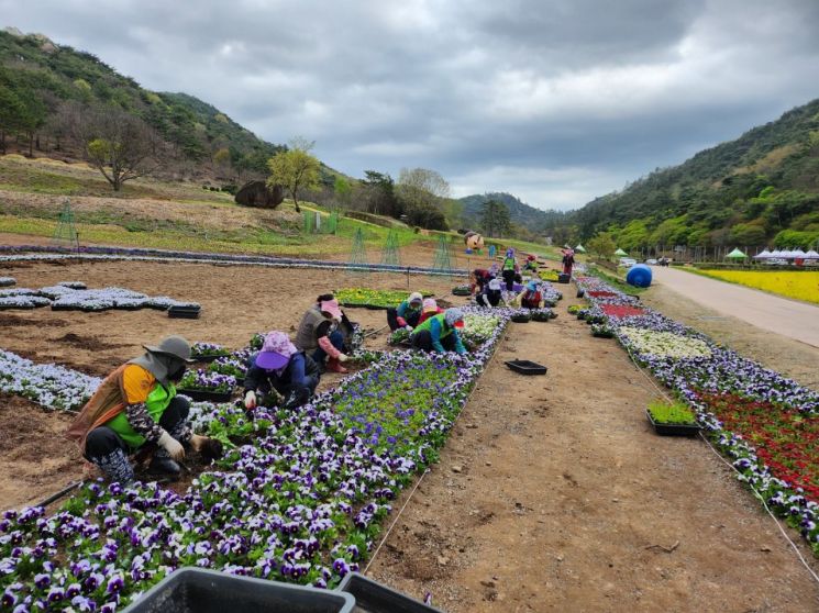 화순군, 고인돌축제 전시장 조성 준비 막바지