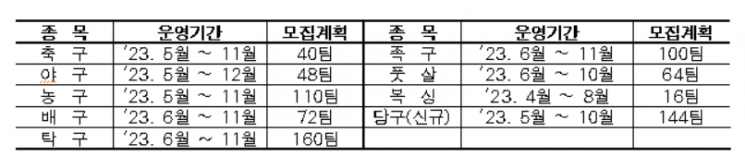 서울시, '2023년 서울시민리그(S-리그)' 참가자 모집