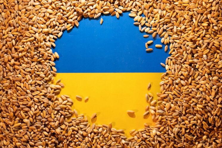 폴란드·헝가리, 우크라 곡물 수입금지…EU "일방적 행동 안돼"