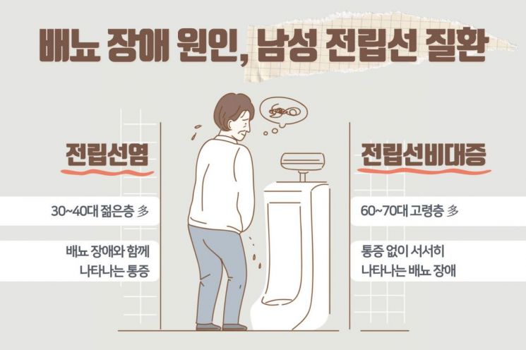 [콕!건강]남자에게 중요한 전립선…젊어도 방심 말아야