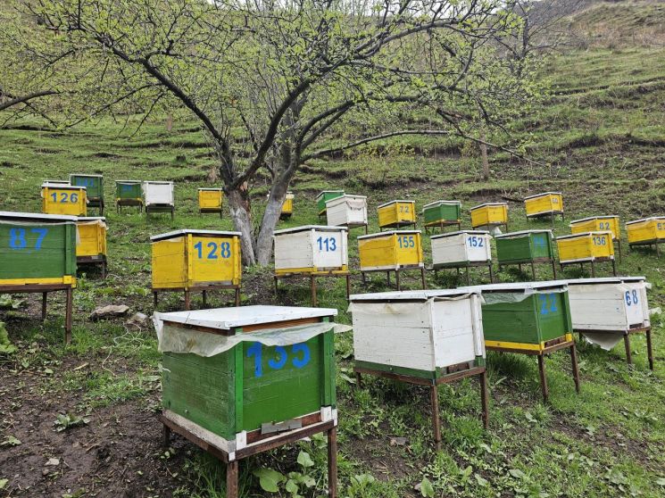 [K-ODA현장in]①“라크마트 카레아”…산골마을 밝힌 가로등, 희망을 심다