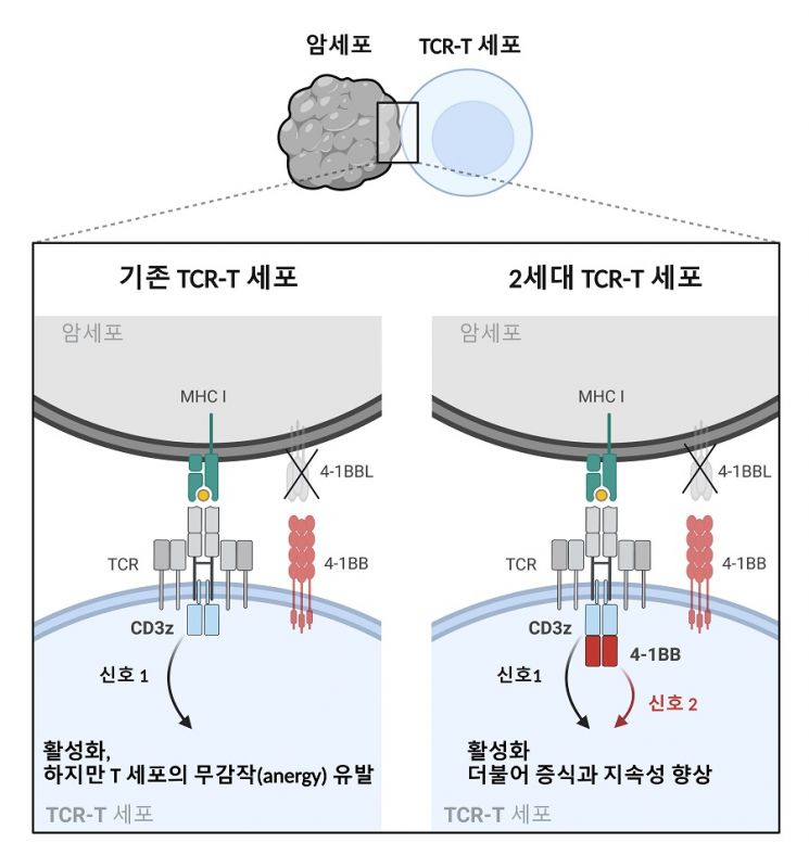 말기 고형암 표적 차세대 항암 치료법. 그림출처=카이스트 제공