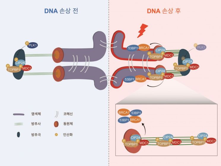 그림출처=한국연구재단 제공.