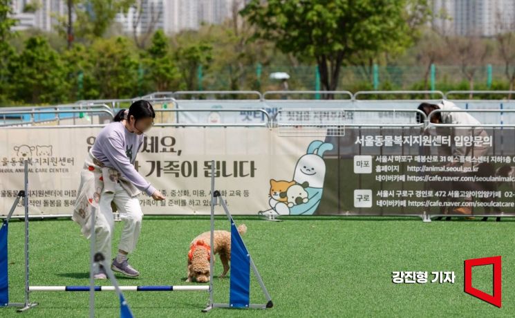 "세계서 가장 외로운 나라 한국"…산부인과 사라지고, 동물병원 들어섰다