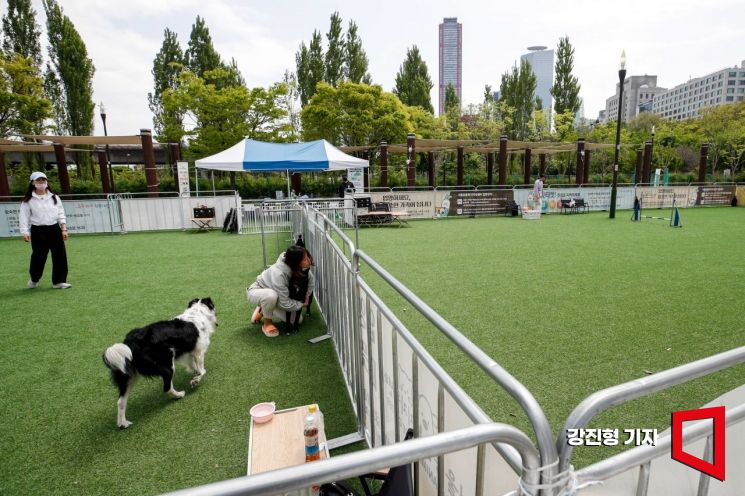 [포토]반려견과 함께하는 행복한 시간