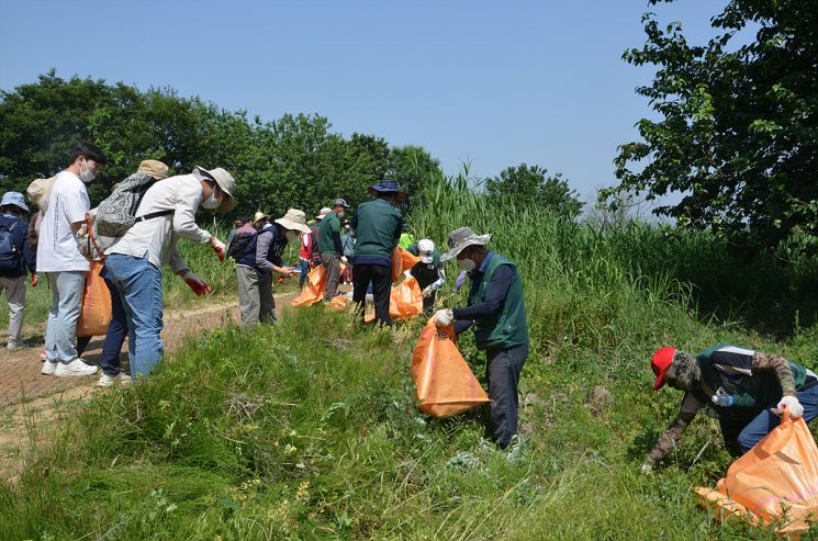 지난해 시행한 가시박 제거 행사.