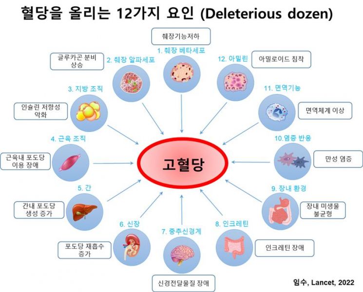 혈당을 올리는 12가지 요인.[자료제공=분당서울대병원]