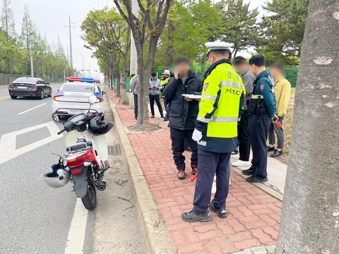 교통경찰과 지역 경찰을 투입해 영암군과 합동단속을 하고 있다. [사진제공=영암경찰서]