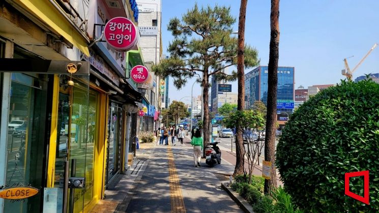 서울 중구 충무로에 있는 애견 거리. 사진은 기사 중 특정표현과 무관함. 사진=한승곤 기자