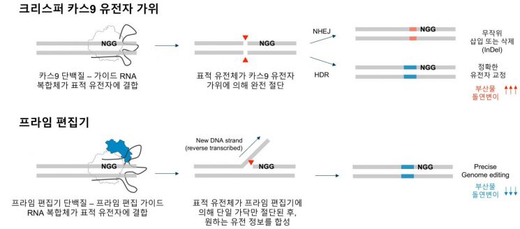 韓, '세계 최고' 차세대 유전자 가위 설계 기술 개발