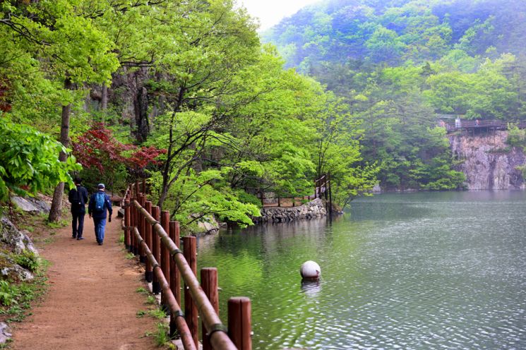 [조용준의 여행만리]새소리 바람소리 고요한 동행, 직소폭포가는길