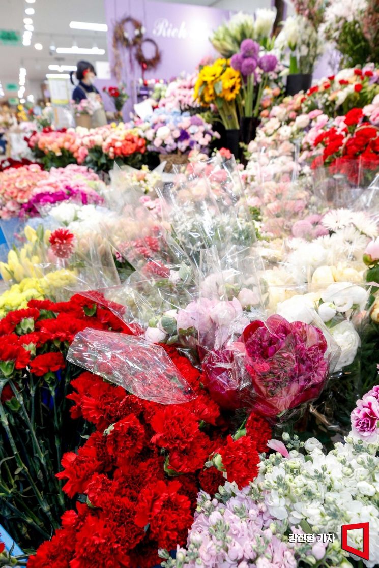 '가정의 달' 무색…국산 카네이션 거래 30% 감소