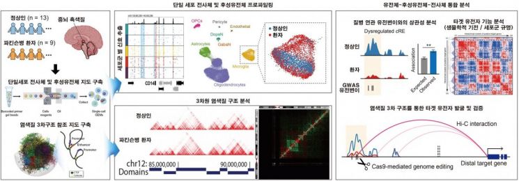 단일세포 후성유전체 지도 분석을 통한 파킨슨병 연관 분자기전 규명. 그림출처=KAIST 제공