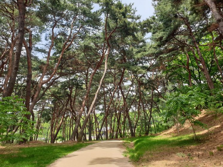 조선왕릉 숲길 아홉 곳 한시적 개방