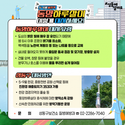 '핫플' 성수동 갔다가 소름 쫙…동양하루살이 공습