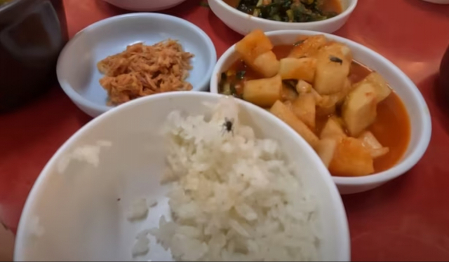 사진 출처=유튜브 채널 ‘꿀돔은 못말려’ 캡처