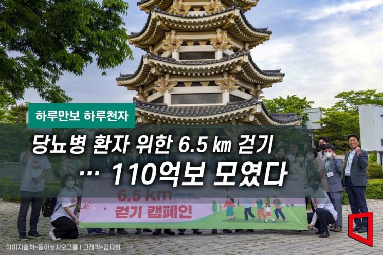 [하루만보 하루천자]당뇨병 환자 위한 6.5㎞ 걷기…110억보 모였다