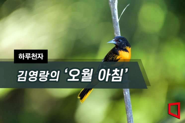 [하루천자]김영랑의 '오월 아침'