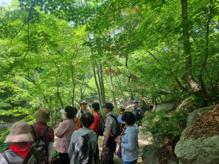 도봉구, 만성질환자 위한 도봉산 ‘힐링숲속캠프’ 운영