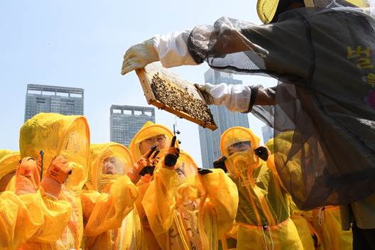 포스코이앤씨가 지난 20일 세계 벌의 날을 맞이해 인천 송도 센트럴파크에서 어린이 꿀벌축제 '해피 벌스 데이'를 개최했다. [사진제공=포스코이앤씨]