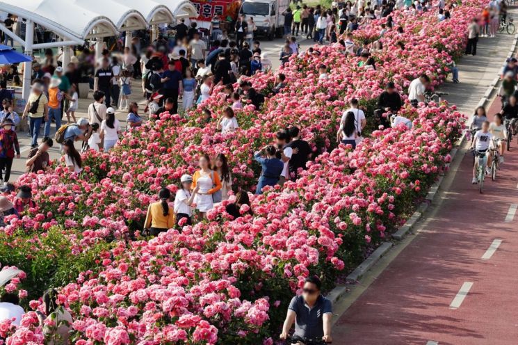 2023 서울장미축제를 찾은 시민들이 만발한 장미를 배경으로 기념 촬영을 하고 있다.