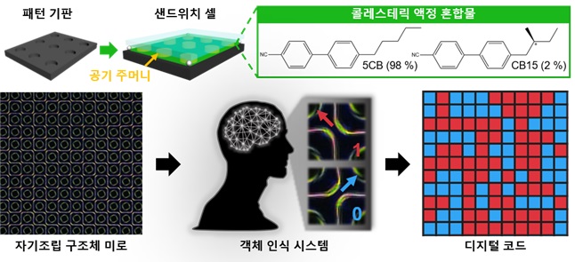 그림 1. 액정 물질이 패터닝 된 기판에서 형성하는 자기조립 구조체 미로를 이용한 보안기술 개발. 그림출처=카이스트 제공