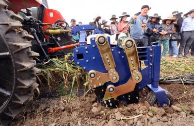 밭작물 스마트 기계화 확산…마늘·양파 우선 추진