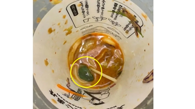 日 컵우동서 살아 있는 개구리 발견…업체 "깊은 사과"