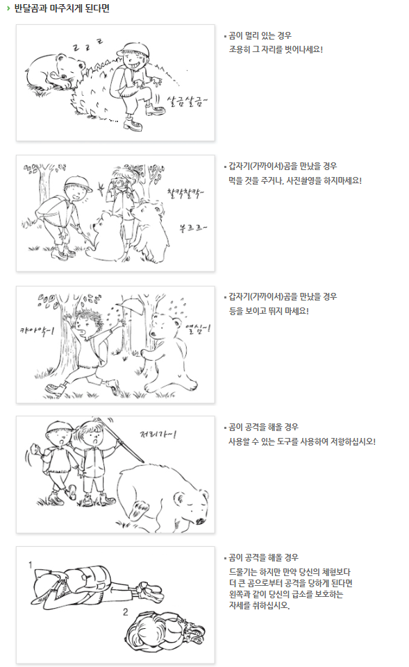How to respond when encountering an Asiatic black bear. <br>[Photo by Korea National Park Service website capture]