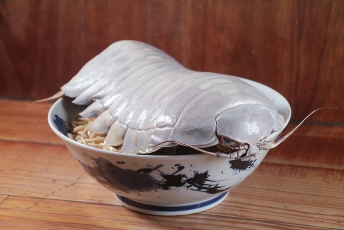 대만의 한 식당이 ‘바다의 바퀴벌레’라고 불리는 심해등각류 라멘을 한정 판매한다. [사진 출처 = ‘라멘소년’ 페이스북]